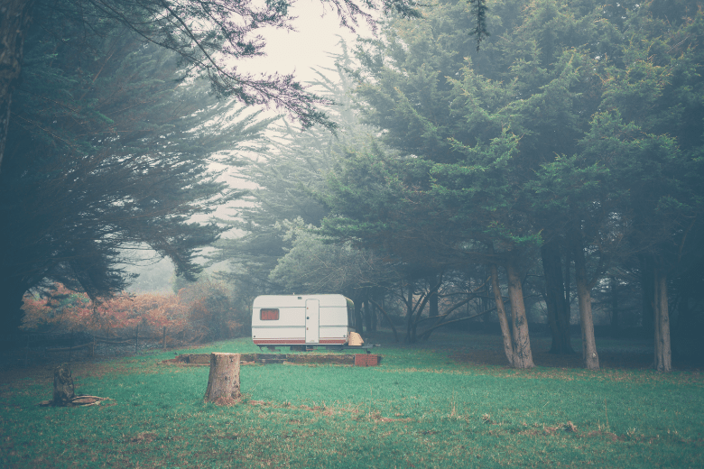 Small travel trailer in middle of field surrounded by forest