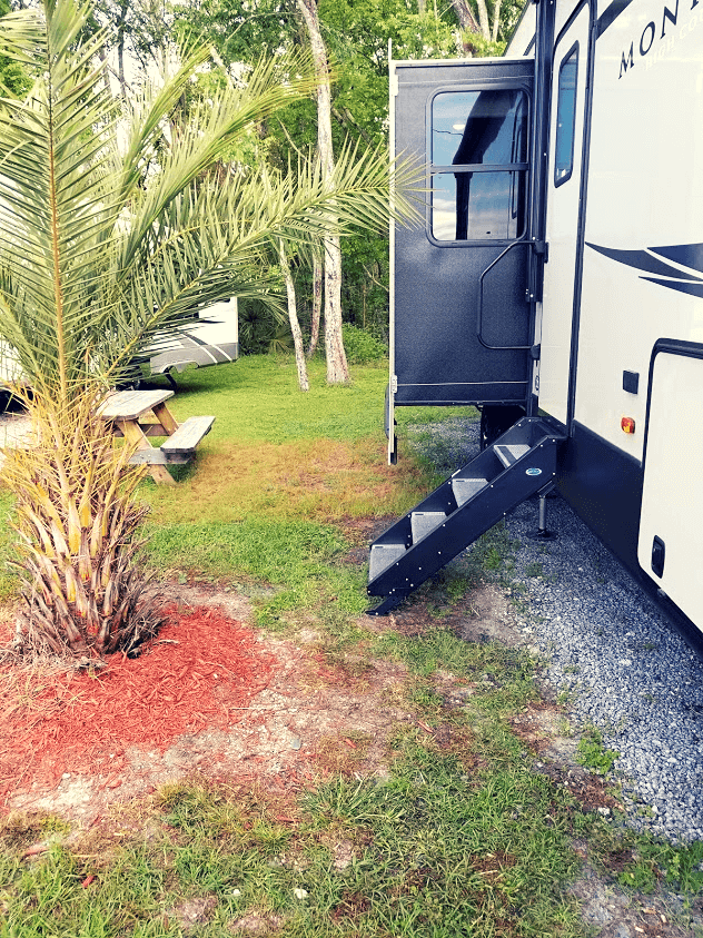 Phoenix Palm tree by 5th wheel at Deland KOA